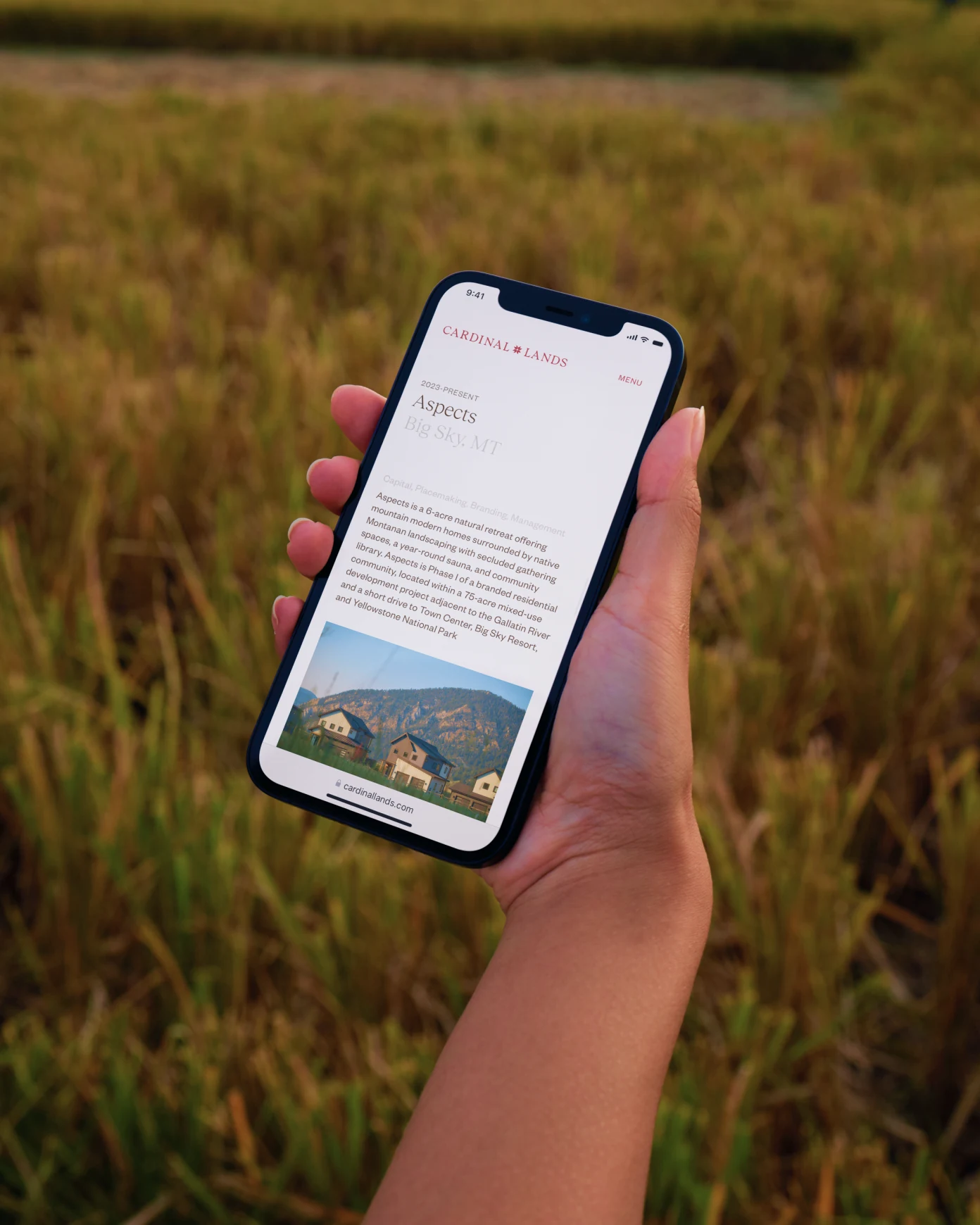 A hand holding a phone displaying the Cardinal Lands website outdoors.